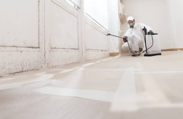 24/7 Emergency Attic Mold Removal experts in Bridgewater, NJ